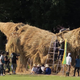 Illustration for article titled Straw Dinosaurs Appear in Japanese Fields, Try To Eat Humans